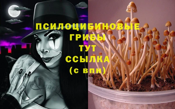 гидра Кулебаки